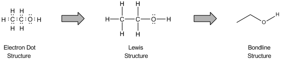 Skeletal Structure - Video Tutorials & Practice Problems | Channels for ...