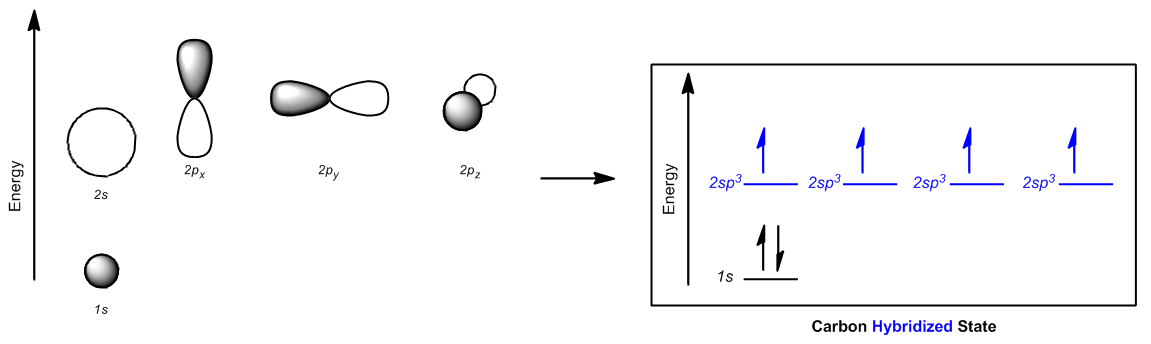 Orbital Hybridization Chart