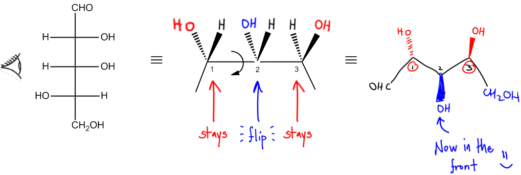 Converting Bond-Line, Newman, and Fischer Projection